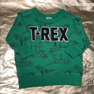3 Month Carter’s Dinosaur Sweatshirt